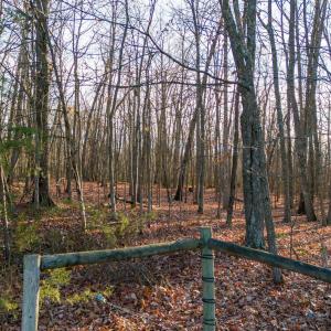 Photo #9 of TBD ROCK MOUNTAIN LN, GROTTOES, VA 25.7 acres