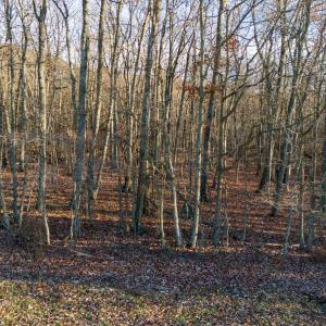 Photo #8 of TBD ROCK MOUNTAIN LN, GROTTOES, VA 25.7 acres
