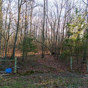 Photo #10 of TBD ROCK MOUNTAIN LN, GROTTOES, VA 25.7 acres