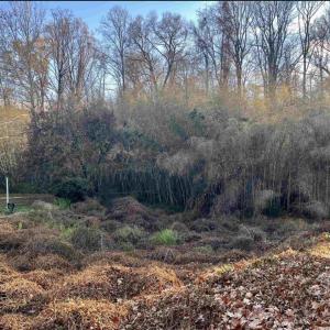 Photo #1 of 538 CLEVELAND AVE, CHARLOTTESVILLE, VA 0.3 acres