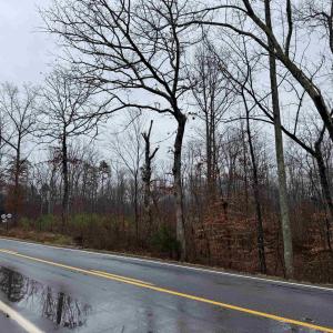 Photo #14 of 6872 JAMES ANDERSON HWY, GLADSTONE, VA 5.2 acres