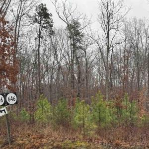 Photo #1 of 6872 JAMES ANDERSON HWY, GLADSTONE, VA 5.2 acres