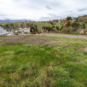 Photo #12 of Lot 48 LOCUSTDALE LOOP, SHENANDOAH, VA 0.3 acres