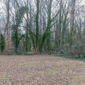 Photo #5 of Lot 13 RAYMOND AVE, CHARLOTTESVILLE, VA 0.2 acres