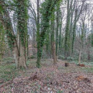 Photo #18 of Lot 13 RAYMOND AVE, CHARLOTTESVILLE, VA 0.2 acres