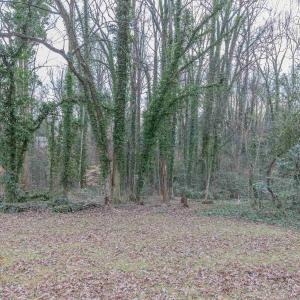 Photo #12 of Lot 13 RAYMOND AVE, CHARLOTTESVILLE, VA 0.2 acres