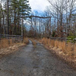 Photo #8 of 7676 OLD DOMINION RD, SCHUYLER, VA 40.3 acres