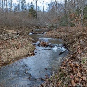 Photo #2 of 7676 OLD DOMINION RD, SCHUYLER, VA 40.3 acres