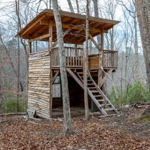 Photo #3 of 7676 OLD DOMINION RD, SCHUYLER, VA 40.3 acres