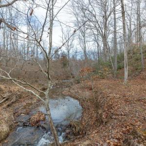 Photo #1 of 7676 OLD DOMINION RD, SCHUYLER, VA 40.3 acres