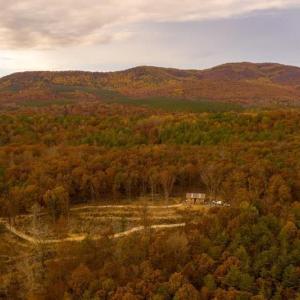 Photo #5 of 7676 OLD DOMINION RD, SCHUYLER, VA 40.3 acres