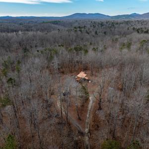 Photo #9 of 7676 OLD DOMINION RD, SCHUYLER, VA 40.3 acres