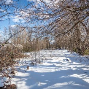 Photo #3 of TBD COLLICELLO ST, HARRISONBURG, VA 0.1 acres