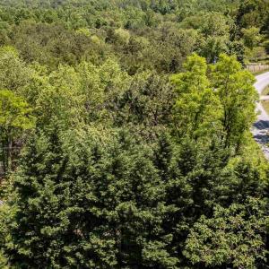 Photo #19 of 1245 CARPENTERS MILL RD, RUCKERSVILLE, VA 24.8 acres