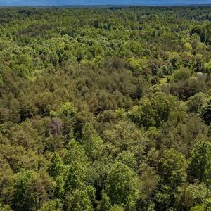 Photo #16 of 1245 CARPENTERS MILL RD, RUCKERSVILLE, VA 24.8 acres