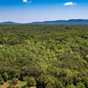 Photo #5 of 1245 CARPENTERS MILL RD, RUCKERSVILLE, VA 24.8 acres