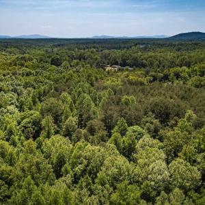 Photo #13 of 1245 CARPENTERS MILL RD, RUCKERSVILLE, VA 24.8 acres