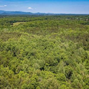 Photo #3 of 1245 CARPENTERS MILL RD, RUCKERSVILLE, VA 24.8 acres