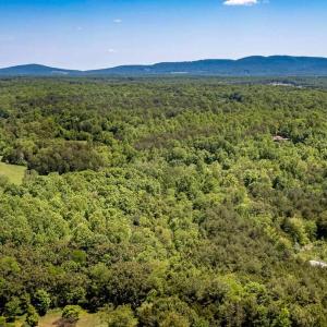 Photo #7 of 1245 CARPENTERS MILL RD, RUCKERSVILLE, VA 24.8 acres
