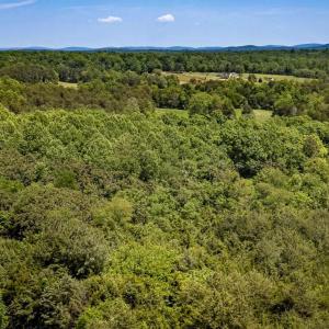 Photo #12 of 1245 CARPENTERS MILL RD, RUCKERSVILLE, VA 24.8 acres