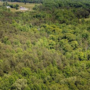 Photo #15 of 1245 CARPENTERS MILL RD, RUCKERSVILLE, VA 24.8 acres