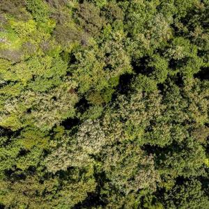 Photo #14 of 1245 CARPENTERS MILL RD, RUCKERSVILLE, VA 24.8 acres