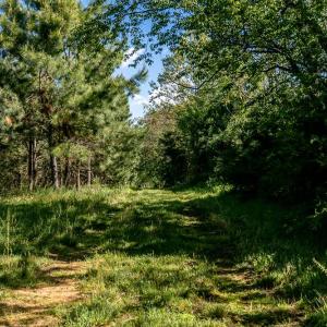 Photo #3 of TBD AUTUMN LN, ROCKINGHAM, VA 8.0 acres