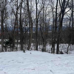 Photo #1 of TBD HERITAGE DR, LURAY, VA 0.4 acres