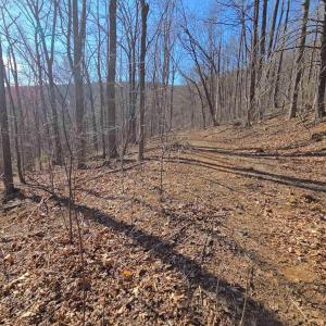 Photo #2 of 12 OLD MOUNTAIN RD, STANARDSVILLE, VA 5.6 acres