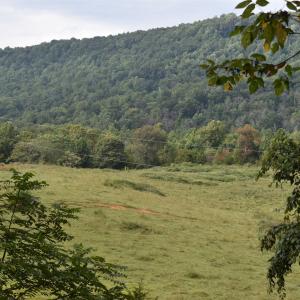 Photo #29 of 12 OLD MOUNTAIN RD, STANARDSVILLE, VA 5.6 acres