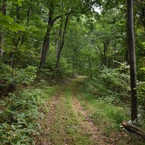 Photo #12 of 12 OLD MOUNTAIN RD, STANARDSVILLE, VA 5.6 acres