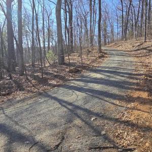 Photo #1 of 12 OLD MOUNTAIN RD, STANARDSVILLE, VA 5.6 acres