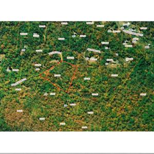 Photo #3 of 12 OLD MOUNTAIN RD, STANARDSVILLE, VA 5.6 acres