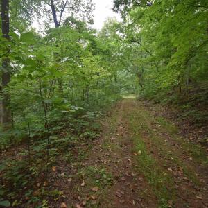 Photo #16 of 12 OLD MOUNTAIN RD, STANARDSVILLE, VA 5.6 acres