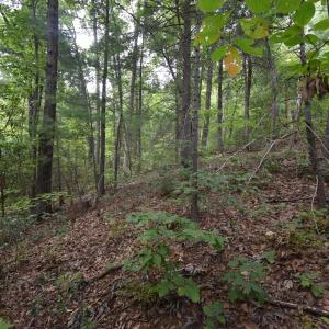 Photo #25 of 12 OLD MOUNTAIN RD, STANARDSVILLE, VA 5.6 acres