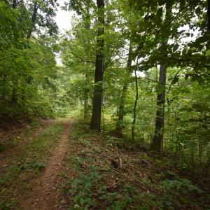 Photo #4 of 12 OLD MOUNTAIN RD, STANARDSVILLE, VA 5.6 acres