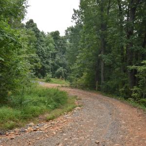 Photo #27 of 12 OLD MOUNTAIN RD, STANARDSVILLE, VA 5.6 acres