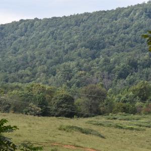 Photo #22 of 12 OLD MOUNTAIN RD, STANARDSVILLE, VA 5.6 acres