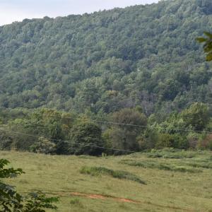Photo #20 of 12 OLD MOUNTAIN RD, STANARDSVILLE, VA 5.6 acres