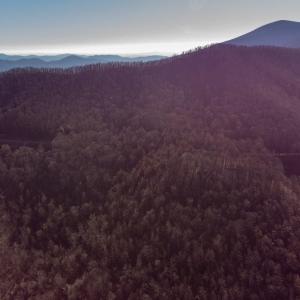 Photo #1 of 728 LOVE RD, LYNDHURST, VA 29.3 acres