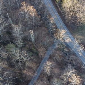 Photo #12 of 728 LOVE RD, LYNDHURST, VA 29.3 acres