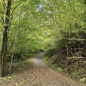 Photo #4 of 728 LOVE RD, LYNDHURST, VA 29.3 acres