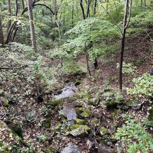 Photo #10 of 728 LOVE RD, LYNDHURST, VA 29.3 acres