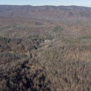 Photo #11 of 728 LOVE RD, LYNDHURST, VA 29.3 acres