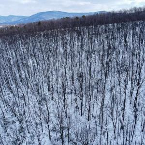 Photo #4 of TBD CUBBAGE HOLLOW RD, STANLEY, VA 40.6 acres