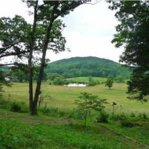 Photo #6 of FARMVIEW RD, STANARDSVILLE, VA 2.2 acres