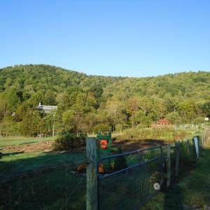 Photo #11 of FARMVIEW RD, STANARDSVILLE, VA 2.2 acres