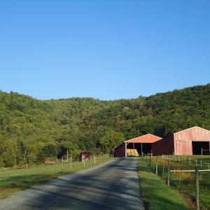 Photo #4 of FARMVIEW RD, STANARDSVILLE, VA 2.2 acres