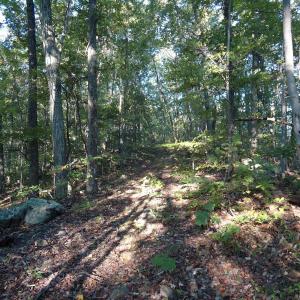 Photo #15 of FARMVIEW RD, STANARDSVILLE, VA 2.2 acres