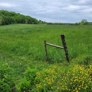 Photo #5 of FARMVIEW RD, STANARDSVILLE, VA 2.2 acres